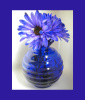 Blue Love